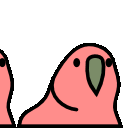 Multiple colorful parrots dancing in a rhythmic line.