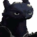 ToothlessShuffle