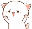 PeachTheCat