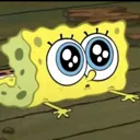spongeplead