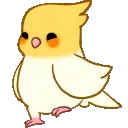 SWE_bird_waddle