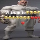 wviltrum