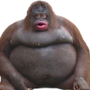 uhoh Discord Emoji from ✦ ⊹ Sakura Sanctuary ⊹ ✦