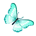 4266aquabutterfly