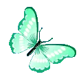 82421tealbutterfly