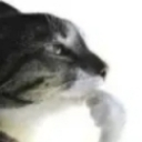 thethinker Discord emoji