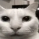 huh Discord emoji