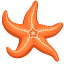 :grinderstarfish: