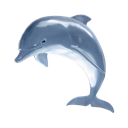 :grinderdolphin: