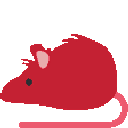 happy_nold_rat