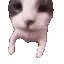 emoji_87cat