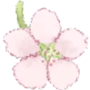 cherryblossom_friedrice