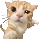 emoji_183