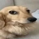 emoji_100
