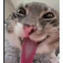 :Yeahh: