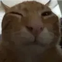 buh