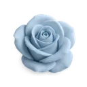 dustybluerose