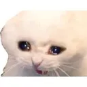 emoji_11