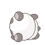 z_pandarolypoly