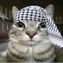zazupalestine Discord emoji