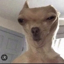 selfieofwessel