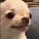 :sad: