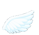 white_wing2 Discord emoji