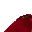 birbStare
