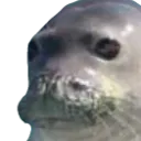 concernedseal