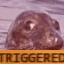 Triggeredseal