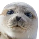 interestedseal