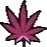 MagentaKush