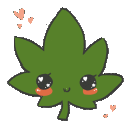 CutieKush