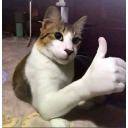 Screenshot20260517012614 Discord Emoji - 𝐃𝐫𝐨𝐧𝐞𝐱 𝐍𝐞𝐭𝐰𝐨𝐫𝐤