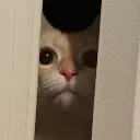 huh_tihonechko