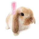emoji_62