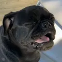 __