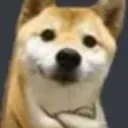 acha_doggu