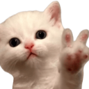 :kittenpeace: