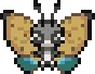 8116
