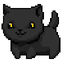 811562tarotcat