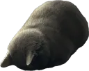 roachgiveup roachgiveup