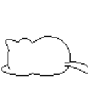 850425sleepykitty