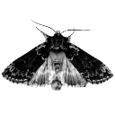 :057_gothdeathmoth: