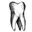 :036_tooth: