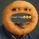 sonionring