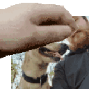pixpat