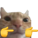 177649catfingerguns