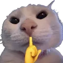 718882shh 718882shh