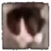 MO